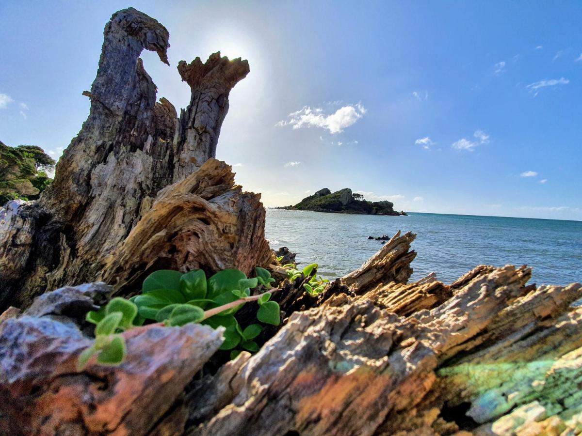 Goat Island Bungalow Ulverstone Eksteriør bilde