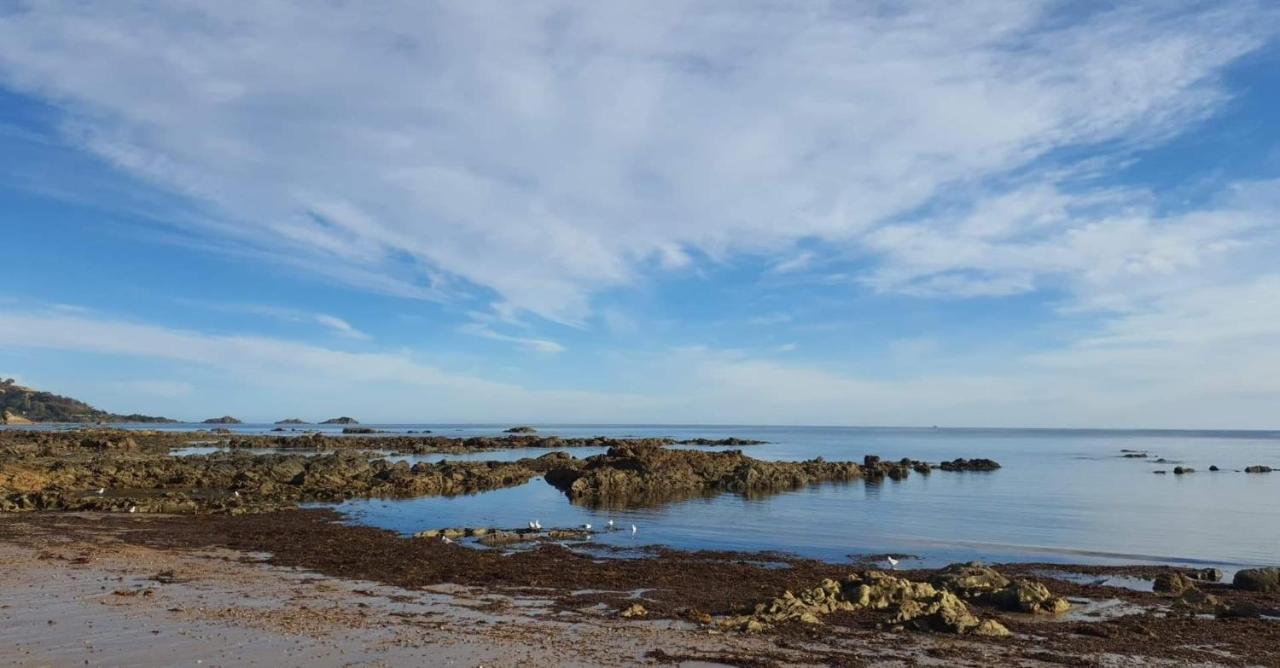 Goat Island Bungalow Ulverstone Eksteriør bilde